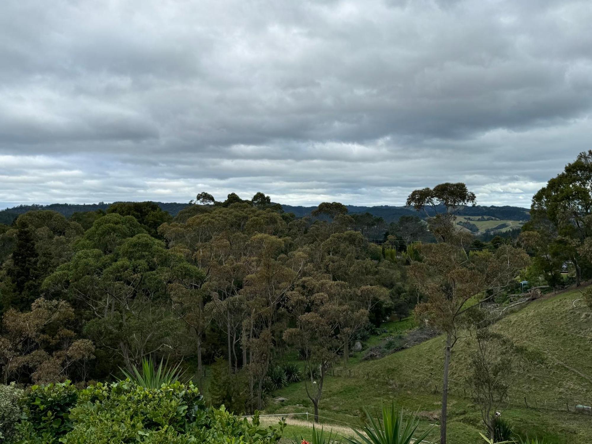 Private Cabin Close To The City Centre Whangarei Exterior foto