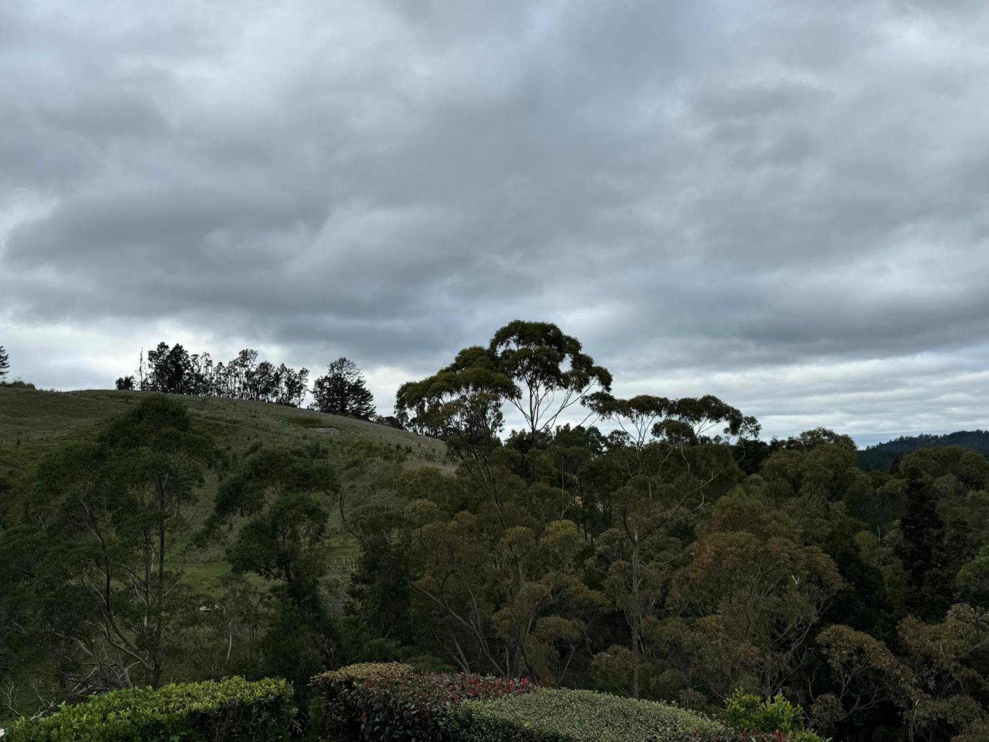 Private Cabin Close To The City Centre Whangarei Exterior foto