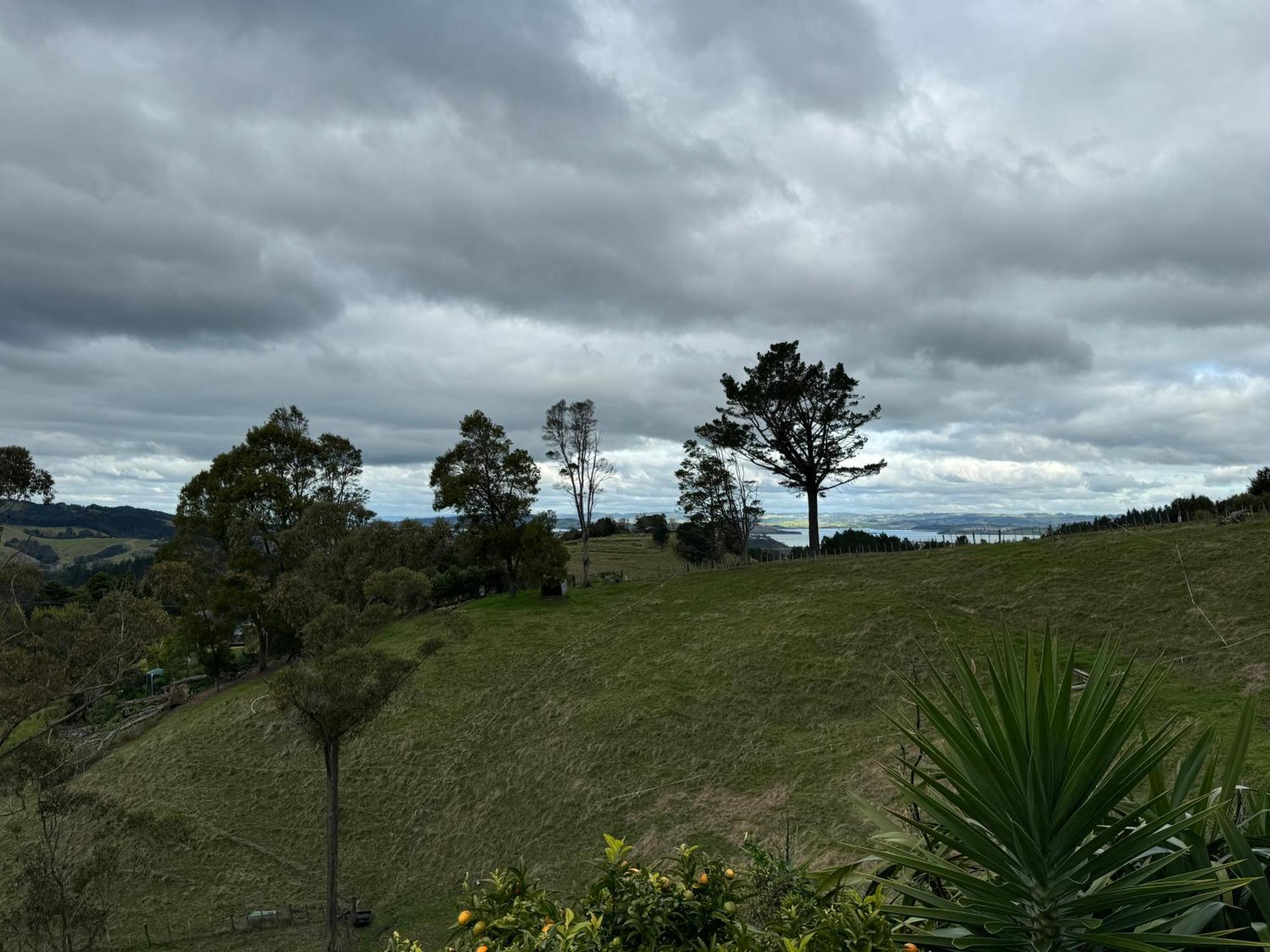 Private Cabin Close To The City Centre Whangarei Exterior foto