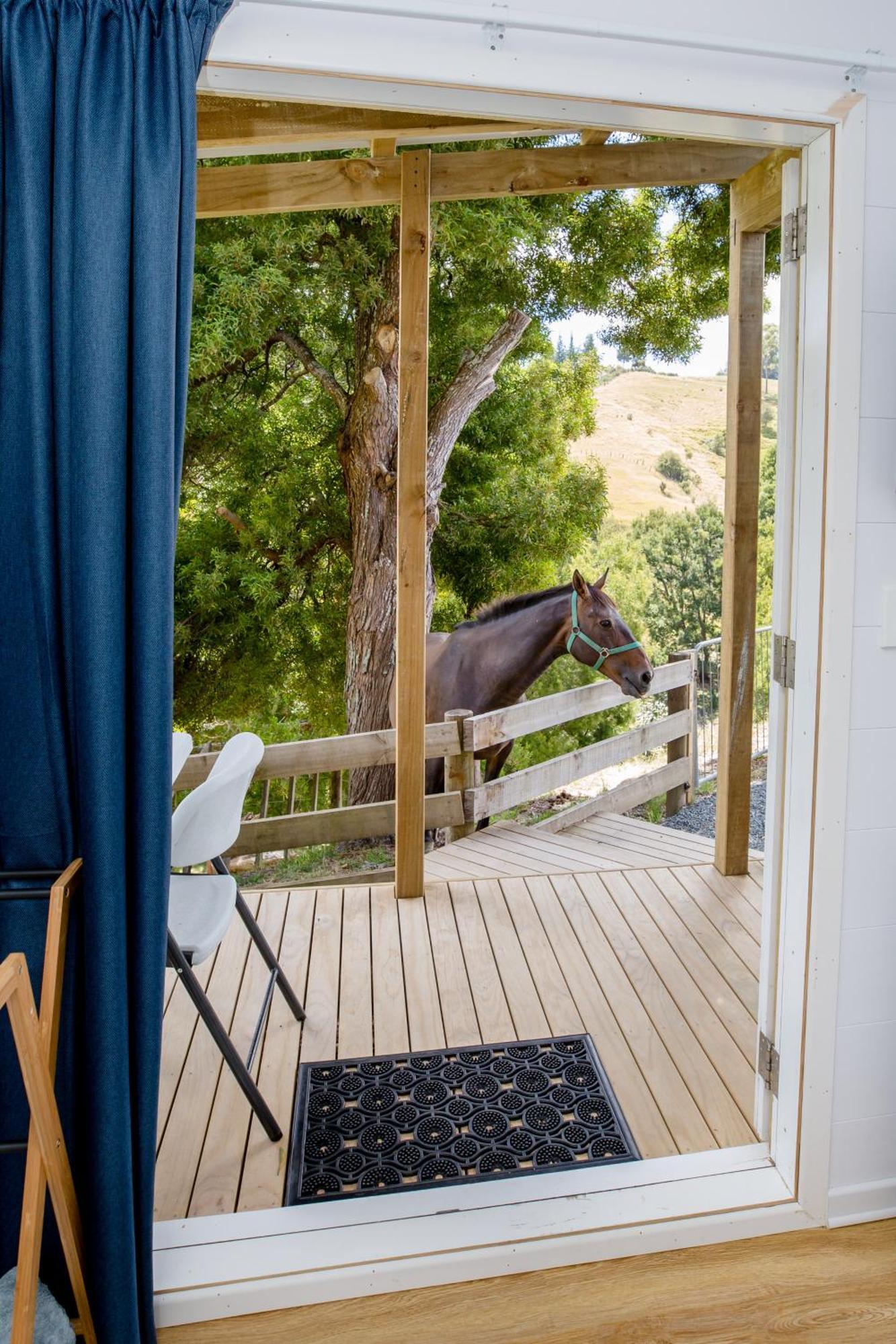 Private Cabin Close To The City Centre Whangarei Exterior foto