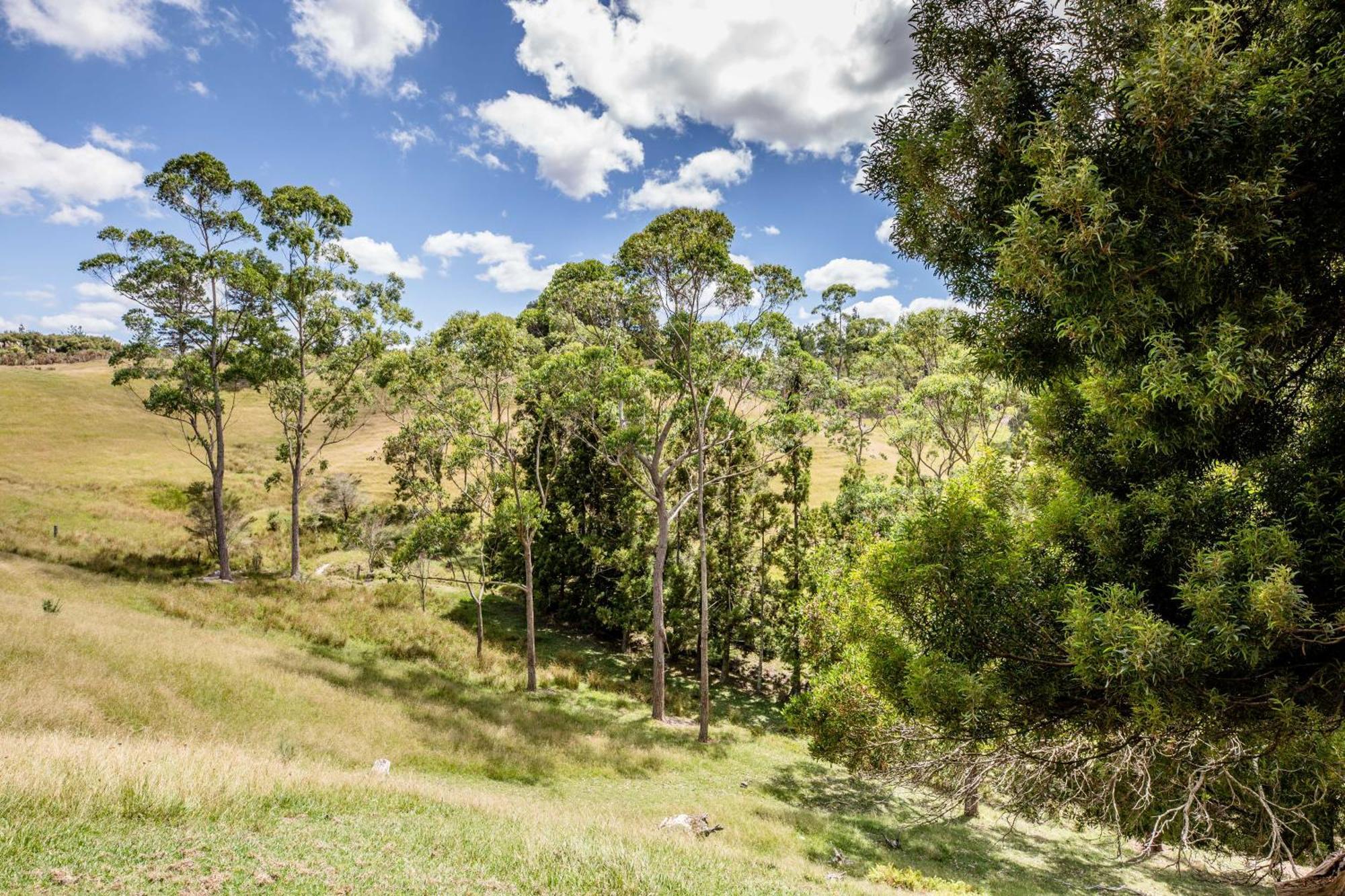 Private Cabin Close To The City Centre Whangarei Exterior foto
